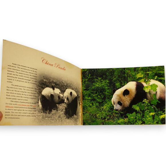 Giant Panda Postcard Book 2006 China 20 Cards Souvenir FLAWED For Crafts - Picture 3 of 11